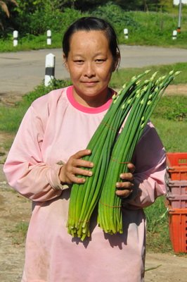 Phu Chi Fa8_resize.JPG